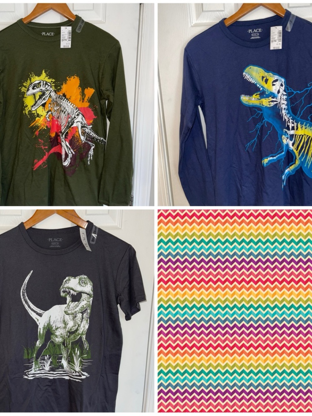 Dinosaur graphic T’s bundle long sleeve Place new with tags